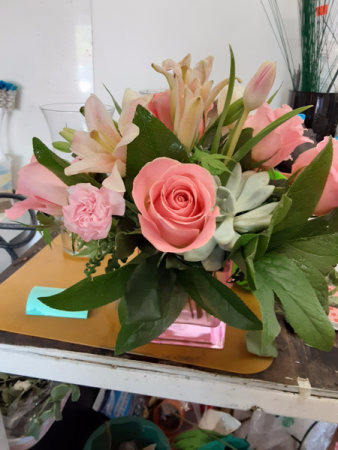 peachy or not to be all occasion