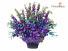 Color Madness Orchid  Arrangement 