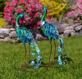 Peacocks -Garden Decor  Gift Shop
