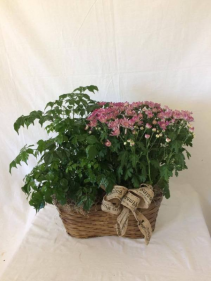 Peanut Basket Planter 