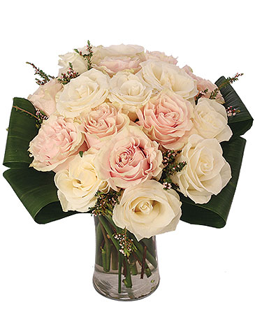 Pearl Perfection Rose Arrangement in Darien, CT | DARIEN FLOWERS