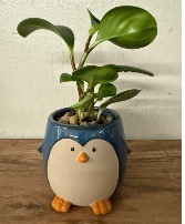 Penguin Planter 