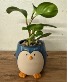 Penguin Planter 