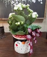 Penguin with Kalanchoe Plant