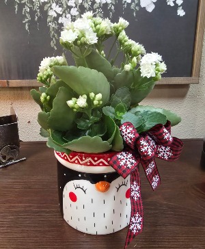 Penguin with Kalanchoe Plant