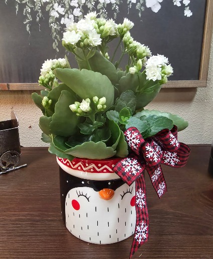 Penguin with Kalanchoe Plant