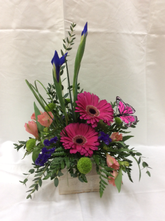 Penny's Blooms & Butterfly