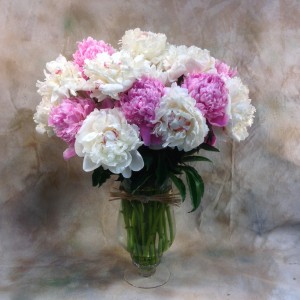 Peonies!