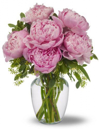 Peonies Bouquet Flower Delivery