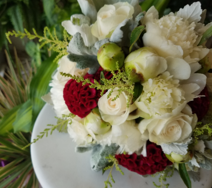 Peonies, Cox Comb, Astilbe and Lambs Ear Bridal Bouquet
