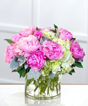 PEONIES & HYDRANGEA 