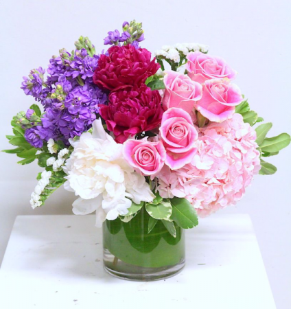 Peonies in the Garden