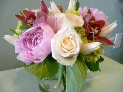 Peony Blush