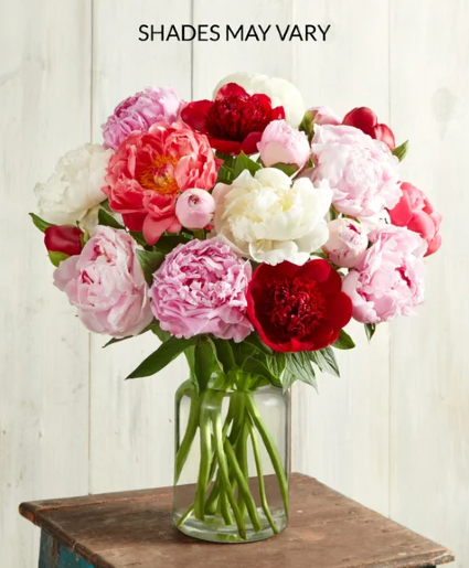 Peony Bouquet Cut Flowers