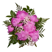 Peony Bouquet Flowers