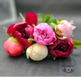 Parade of Peonies Cut Bouquet of Peonies