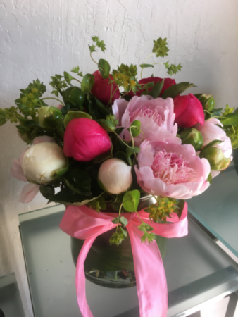 Peony Classic