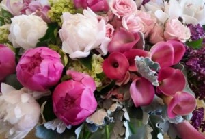 Peony Garden in Northport, NY | Hengstenberg's Florist Peony Garden in Northport, NY | Hengstenberg's Florist