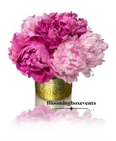 Peony Lovers 