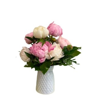 Peony Paradise 