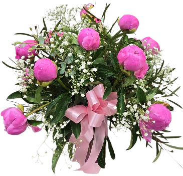 Peony Perfection 1 DZ Pink Peony Vase Arrangement in Laurel, MD | Lea's Flower Shop