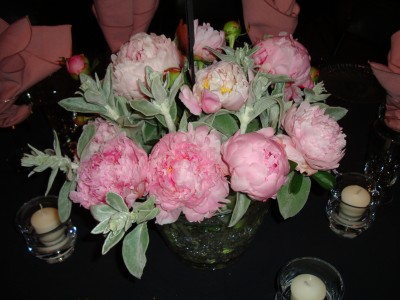 Peony's with Lamb's Ear