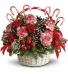 CHRISTMAS PEPPERMINT BASKET FRESH FLOWERS