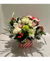 Festive Berries Bloom Box