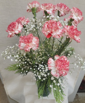Peppermint Carnations Christmas