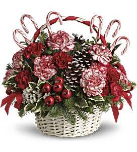 Peppermint Dream