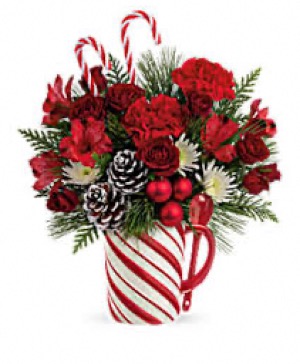 Peppermint Mug Arrangement  Christmas 