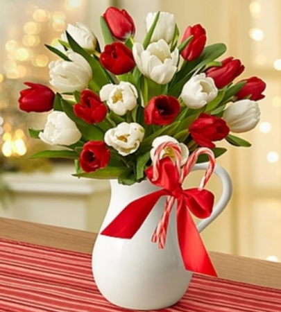 Peppermint Pitcher of Tulips™ - Red & White Arrangement