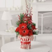 Peppermint Pleasures 