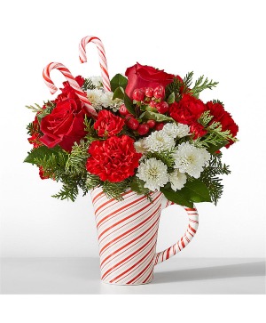 Peppermint swirl mug 