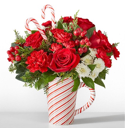 Peppermint Swirl Mug 