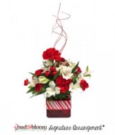 Peppermint Twist Bud & Bloom Signature Arrangement