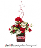 Peppermint Twist Bud & Bloom Signature Arrangement