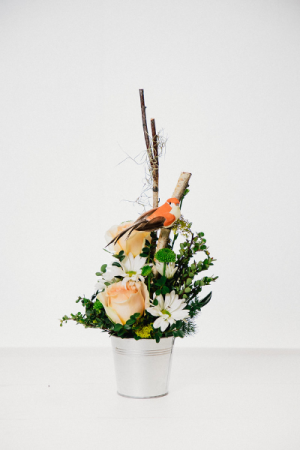 Perched Above Container design