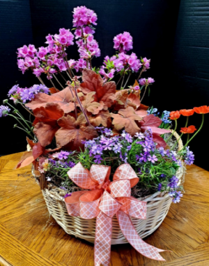 Perennial Basket Mixed Perennials