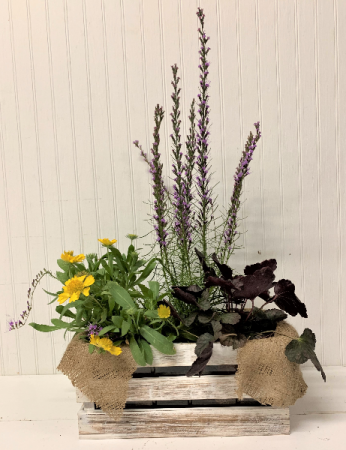 Perennial Crate