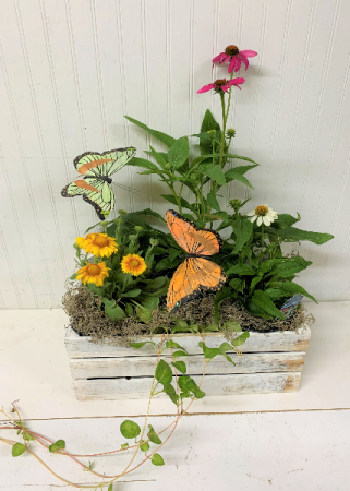 Perennial Crate