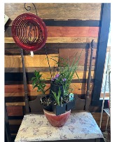Perennial Planter w/ Spinner Perennial