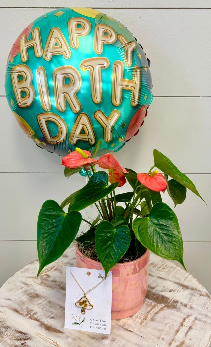 Perfect Birthday Combo
