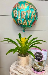 Perfect Birthday Combo "Cookies" 