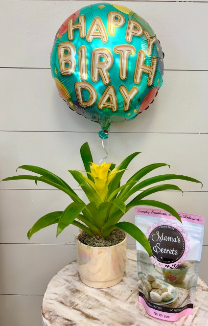 Perfect Birthday Combo
