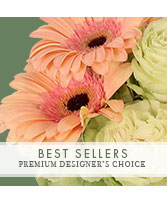 Perfect Choice Best Seller Premium Designer's Choice