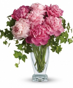 Peonies with pink Roses 