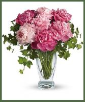 Perfect Peonies Call Ahead