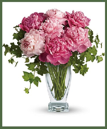 Perfect Peonies Call Ahead