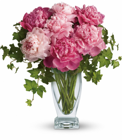 Perfect Peonies H1441A